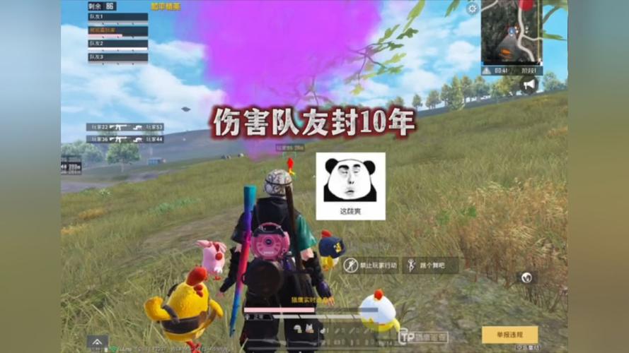 和平精英辅助工具安全指南:保护账号远离封禁